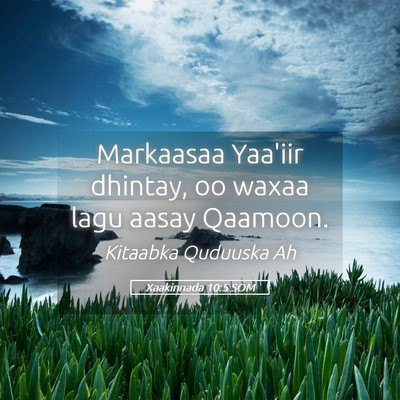 Picture 05 - Xaakinnada 10:5 SOM - Markaasaa Yaa'iir dhintay, oo waxaa lagu aasay - Bible Verse Picture