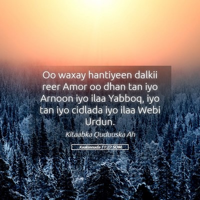 Picture 05 - Xaakinnada 11:22 SOM - Oo waxay hantiyeen dalkii reer Amor oo dhan tan - Bible Verse Picture