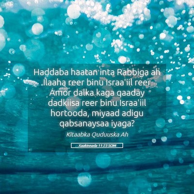 Picture 05 - Xaakinnada 11:23 SOM - Haddaba haatan inta Rabbiga ah Ilaaha reer binu - Bible Verse Picture