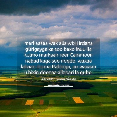 Picture 05 - Xaakinnada 11:31 SOM - markaasaa wax alla wixii irdaha gurigayga ka soo - Bible Verse Picture