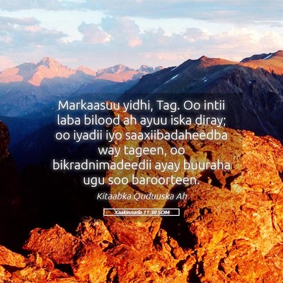 Picture 05 - Xaakinnada 11:38 SOM - Markaasuu yidhi, Tag. Oo intii laba bilood ah - Bible Verse Picture