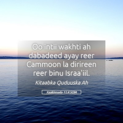 Picture 05 - Xaakinnada 11:4 SOM - Oo intii wakhti ah dabadeed ayay reer Cammoon la - Bible Verse Picture