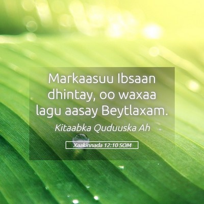 Picture 05 - Xaakinnada 12:10 SOM - Markaasuu Ibsaan dhintay, oo waxaa lagu aasay - Bible Verse Picture