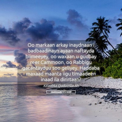 Picture 05 - Xaakinnada 12:3 SOM - Oo markaan arkay inaydnaan i badbaadinayn ayaan - Bible Verse Picture