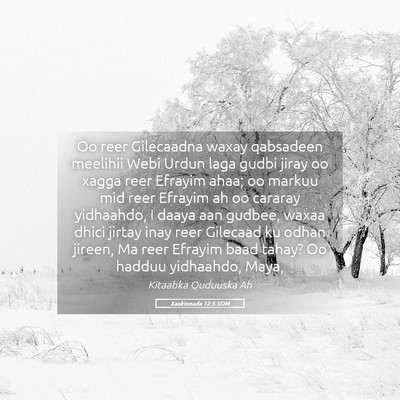 Picture 05 - Xaakinnada 12:5 SOM - Oo reer Gilecaadna waxay qabsadeen meelihii Webi - Bible Verse Picture
