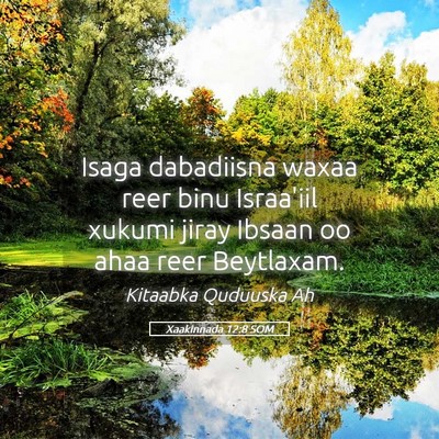 Picture 05 - Xaakinnada 12:8 SOM - Isaga dabadiisna waxaa reer binu Israa'iil xukumi - Bible Verse Picture