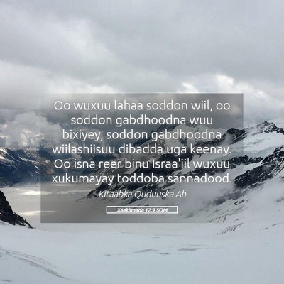 Picture 05 - Xaakinnada 12:9 SOM - Oo wuxuu lahaa soddon wiil, oo soddon gabdhoodna - Bible Verse Picture