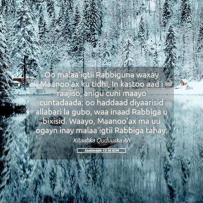 Picture 05 - Xaakinnada 13:16 SOM - Oo malaa'igtii Rabbiguna waxay Maanoo'ax ku - Bible Verse Picture