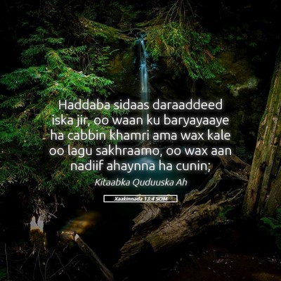 Picture 05 - Xaakinnada 13:4 SOM - Haddaba sidaas daraaddeed iska jir, oo waan ku - Bible Verse Picture