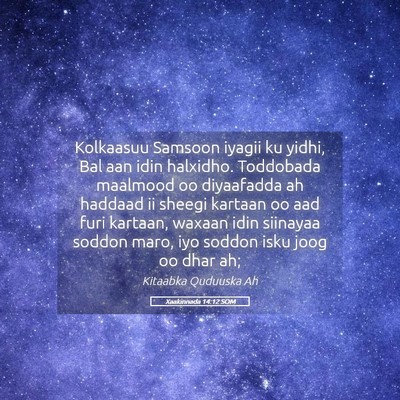 Picture 05 - Xaakinnada 14:12 SOM - Kolkaasuu Samsoon iyagii ku yidhi, Bal aan idin - Bible Verse Picture