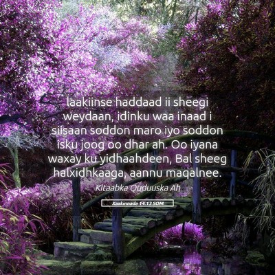 Picture 05 - Xaakinnada 14:13 SOM - laakiinse haddaad ii sheegi weydaan, idinku waa - Bible Verse Picture