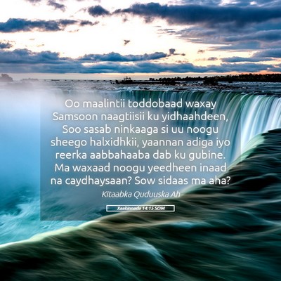 Picture 05 - Xaakinnada 14:15 SOM - Oo maalintii toddobaad waxay Samsoon naagtiisii - Bible Verse Picture