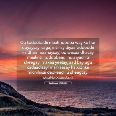 Picture 05 - Xaakinnada 14:17 SOM - Oo toddobadii maalmoodba way ku hor ooyaysay - Bible Verse Picture