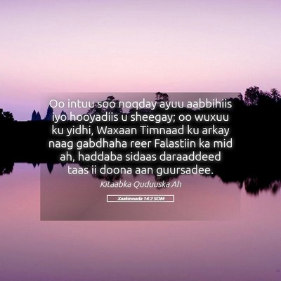 Picture 05 - Xaakinnada 14:2 SOM - Oo intuu soo noqday ayuu aabbihiis iyo hooyadiis - Bible Verse Picture