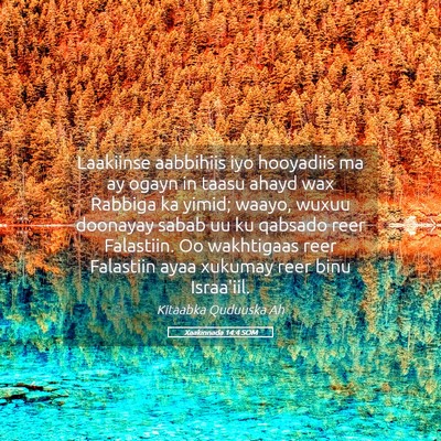 Picture 05 - Xaakinnada 14:4 SOM - Laakiinse aabbihiis iyo hooyadiis ma ay ogayn in - Bible Verse Picture