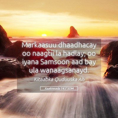 Picture 05 - Xaakinnada 14:7 SOM - Markaasuu dhaadhacay oo naagtii la hadlay; oo - Bible Verse Picture