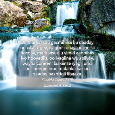 Picture 05 - Xaakinnada 14:9 SOM - Oo markaasuu gacmihiisii ku qaaday, oo iska - Bible Verse Picture