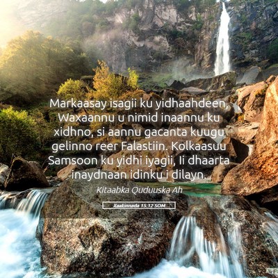 Picture 05 - Xaakinnada 15:12 SOM - Markaasay isagii ku yidhaahdeen, Waxaannu u nimid - Bible Verse Picture