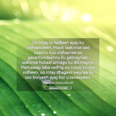 Picture 05 - Xaakinnada 15:13 SOM - Oo intay la hadleen ayay ku yidhaahdeen, Maya; - Bible Verse Picture
