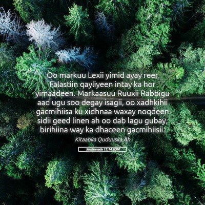 Picture 05 - Xaakinnada 15:14 SOM - Oo markuu Lexii yimid ayay reer Falastiin - Bible Verse Picture