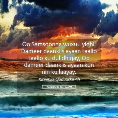 Picture 05 - Xaakinnada 15:16 SOM - Oo Samsoonna wuxuu yidhi, Dameer daankiis ayaan - Bible Verse Picture
