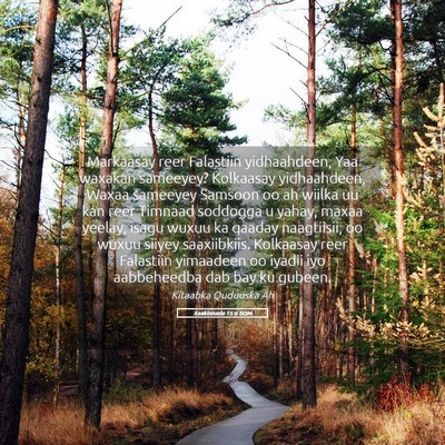 Picture 05 - Xaakinnada 15:6 SOM - Markaasay reer Falastiin yidhaahdeen, Yaa waxakan - Bible Verse Picture