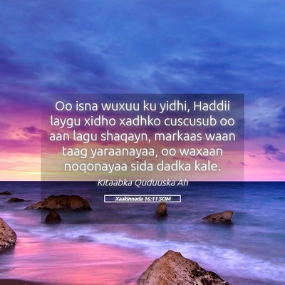 Picture 05 - Xaakinnada 16:11 SOM - Oo isna wuxuu ku yidhi, Haddii laygu xidho xadhko - Bible Verse Picture