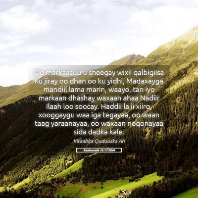 Picture 05 - Xaakinnada 16:17 SOM - Oo markaasuu u sheegay wixii qalbigiisa ku jiray - Bible Verse Picture