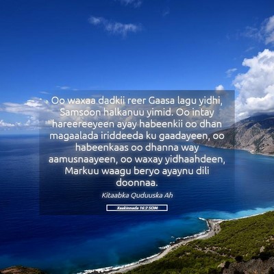 Picture 05 - Xaakinnada 16:2 SOM - Oo waxaa dadkii reer Gaasa lagu yidhi, Samsoon - Bible Verse Picture