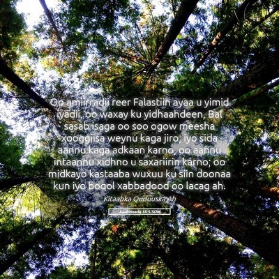 Picture 05 - Xaakinnada 16:5 SOM - Oo amiirradii reer Falastiin ayaa u yimid iyadii, - Bible Verse Picture
