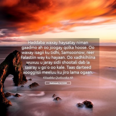 Picture 05 - Xaakinnada 16:9 SOM - Haddaba waxay haysatay niman gaadmo ah oo joogay - Bible Verse Picture