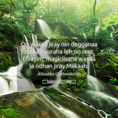 Picture 05 - Xaakinnada 17:1 SOM - Oo waxaa jiray nin degganaa dalka buuraha leh oo - Bible Verse Picture