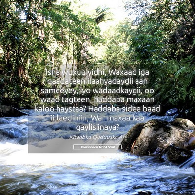 Picture 05 - Xaakinnada 18:24 SOM - Isna wuxuu yidhi, Waxaad iga qaadateen - Bible Verse Picture