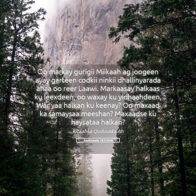 Picture 05 - Xaakinnada 18:3 SOM - Oo markay gurigii Miikaah ag joogeen ayay garteen - Bible Verse Picture