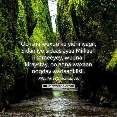 Picture 05 - Xaakinnada 18:4 SOM - Oo isna wuxuu ku yidhi iyagii, Sidan iyo sidaas - Bible Verse Picture