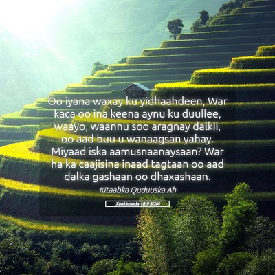 Picture 05 - Xaakinnada 18:9 SOM - Oo iyana waxay ku yidhaahdeen, War kaca oo ina - Bible Verse Picture