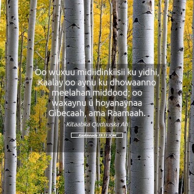 Picture 05 - Xaakinnada 19:13 SOM - Oo wuxuu midiidinkiisii ku yidhi, Kaalay oo aynu - Bible Verse Picture