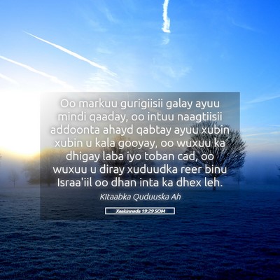 Picture 05 - Xaakinnada 19:29 SOM - Oo markuu gurigiisii galay ayuu mindi qaaday, oo - Bible Verse Picture