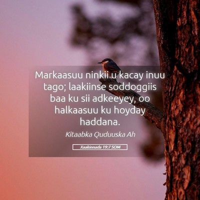 Picture 05 - Xaakinnada 19:7 SOM - Markaasuu ninkii u kacay inuu tago; laakiinse - Bible Verse Picture