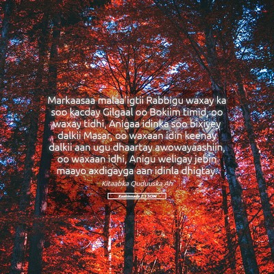 Picture 05 - Xaakinnada 2:1 SOM - Markaasaa malaa'igtii Rabbigu waxay ka soo kacday - Bible Verse Picture