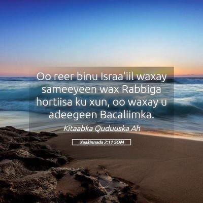 Picture 05 - Xaakinnada 2:11 SOM - Oo reer binu Israa'iil waxay sameeyeen wax - Bible Verse Picture