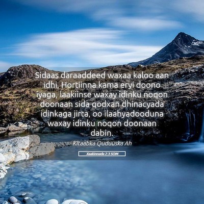 Picture 05 - Xaakinnada 2:3 SOM - Sidaas daraaddeed waxaa kaloo aan idhi, Hortiinna - Bible Verse Picture