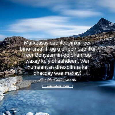 Picture 05 - Xaakinnada 20:12 SOM - Markaasay qabiilooyinkii reer binu Israa'iil rag - Bible Verse Picture
