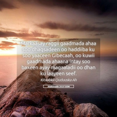 Picture 05 - Xaakinnada 20:37 SOM - Markaasay raggii gaadmada ahaa soo dhaqsadeen oo - Bible Verse Picture