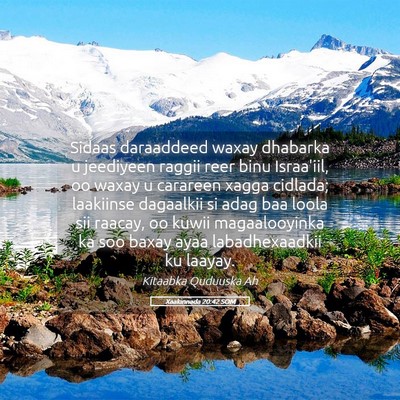 Picture 05 - Xaakinnada 20:42 SOM - Sidaas daraaddeed waxay dhabarka u jeediyeen - Bible Verse Picture
