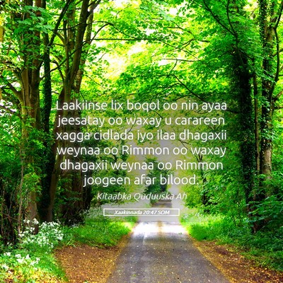 Picture 05 - Xaakinnada 20:47 SOM - Laakiinse lix boqol oo nin ayaa jeesatay oo waxay - Bible Verse Picture