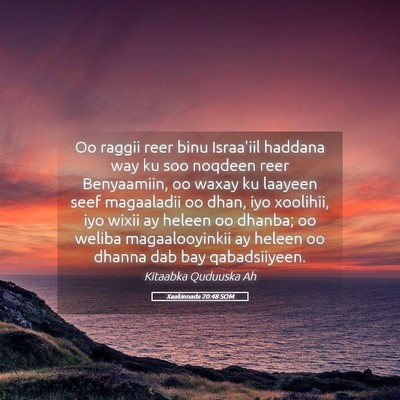 Picture 05 - Xaakinnada 20:48 SOM - Oo raggii reer binu Israa'iil haddana way ku soo - Bible Verse Picture
