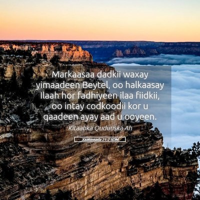 Picture 05 - Xaakinnada 21:2 SOM - Markaasaa dadkii waxay yimaadeen Beytel, oo - Bible Verse Picture
