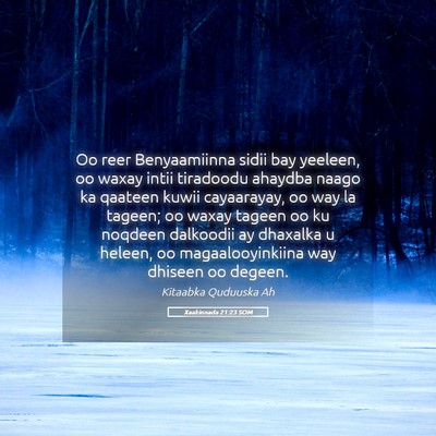 Picture 05 - Xaakinnada 21:23 SOM - Oo reer Benyaamiinna sidii bay yeeleen, oo waxay - Bible Verse Picture