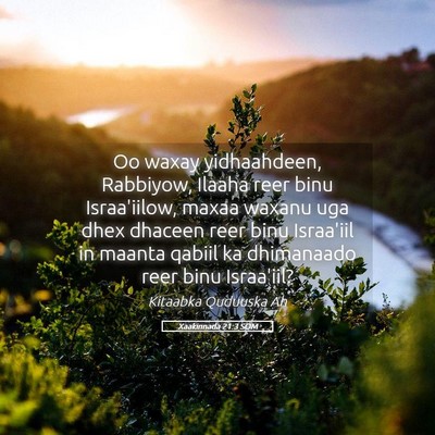 Picture 05 - Xaakinnada 21:3 SOM - Oo waxay yidhaahdeen, Rabbiyow, Ilaaha reer binu - Bible Verse Picture